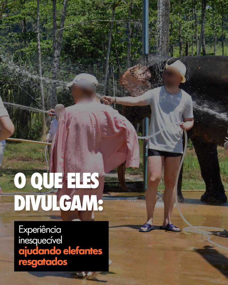 Carrossel: Para eles, também é uma experiência inesquecível 3