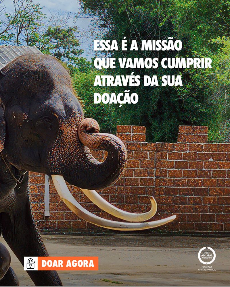 Carrossel: Retrato da tortura 7