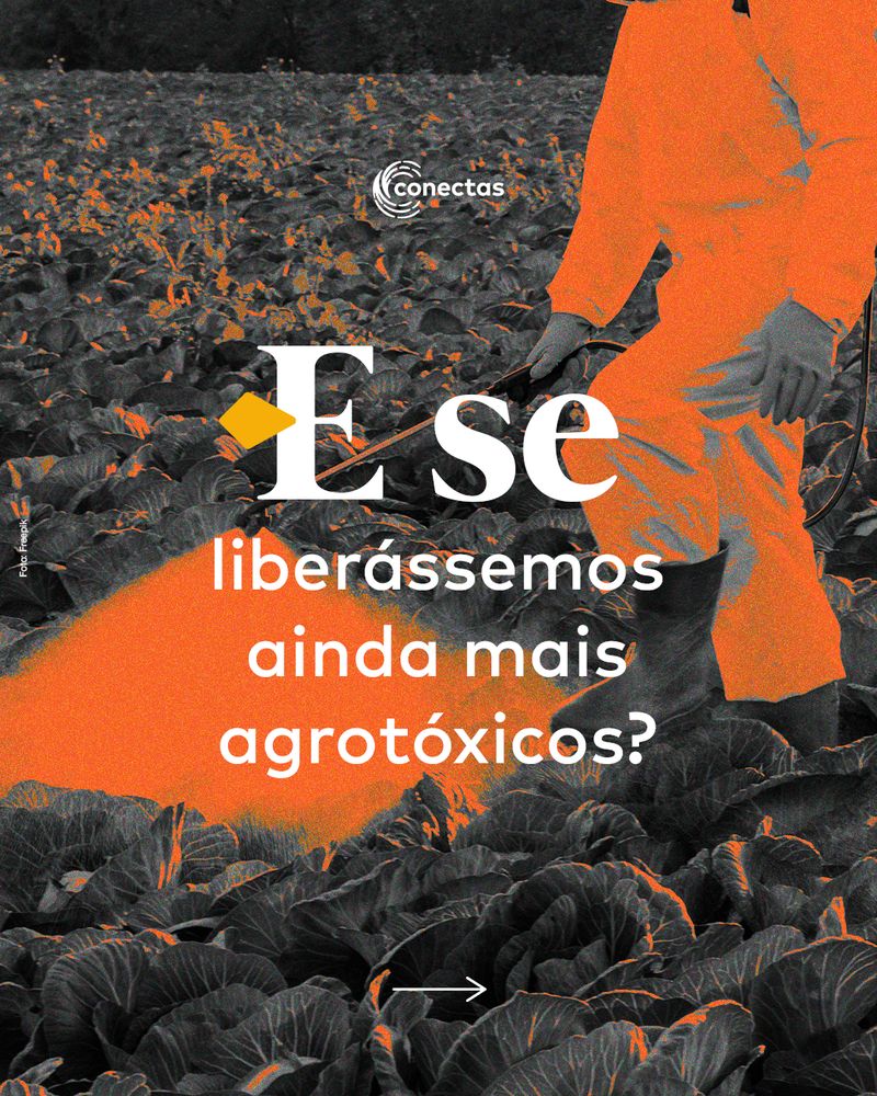 Carrossel: Pacote da Destruição 2