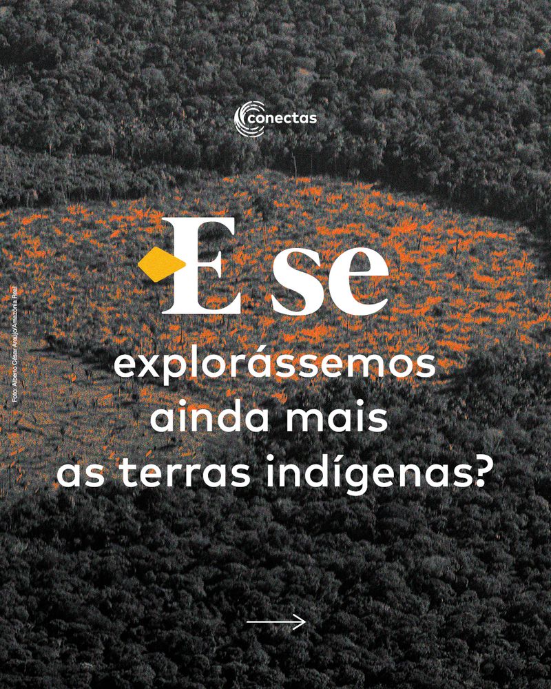Carrossel: Pacote da Destruição 6