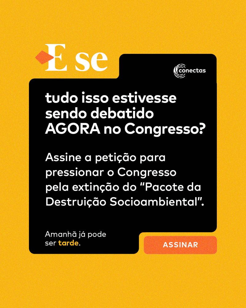 Carrossel: Pacote da Destruição 7